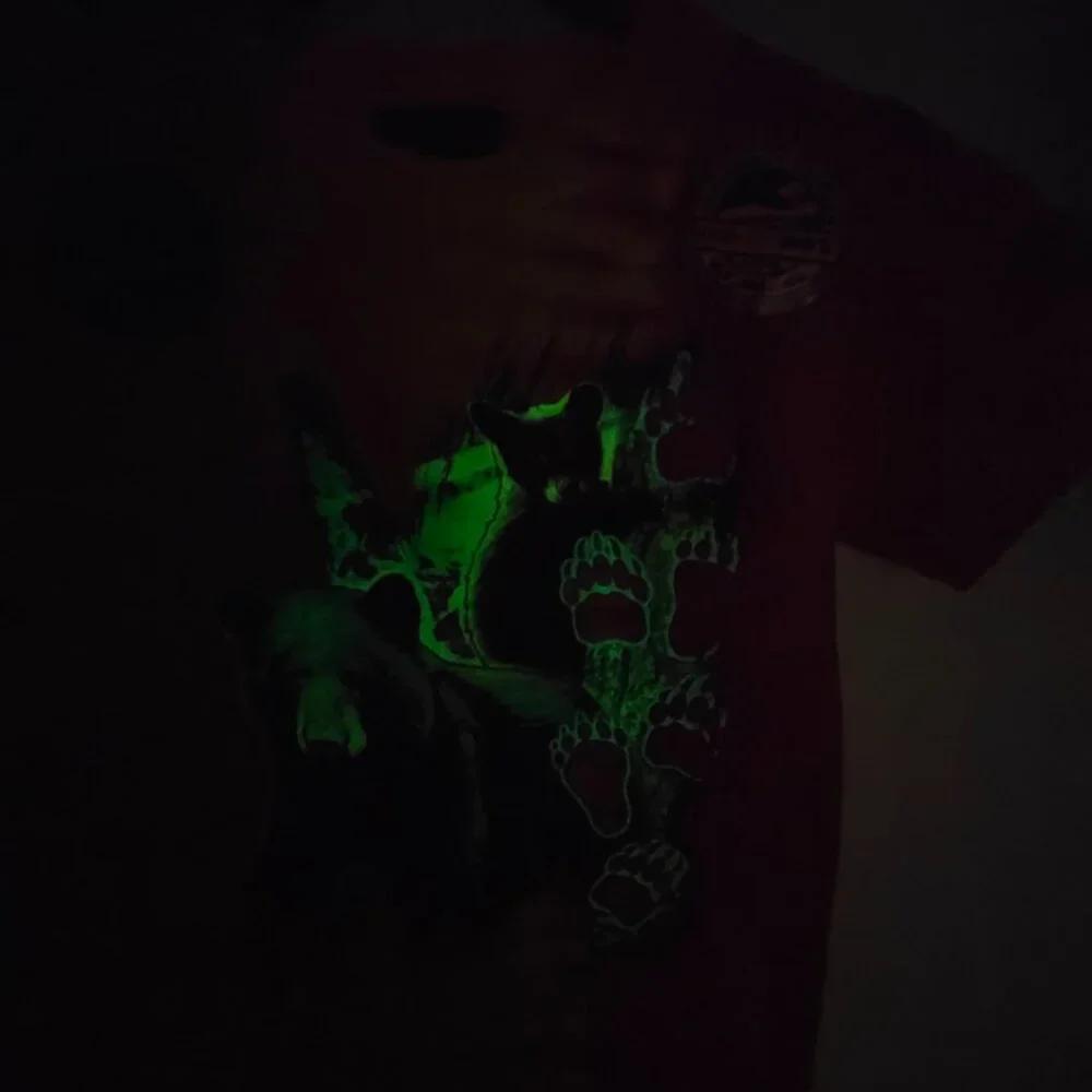 Kid-U-Not Boys Yellow Stone National Park Glow in the Dark‎ T-Shirt NWOT